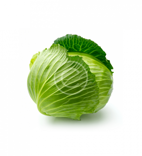 Young Cabbage