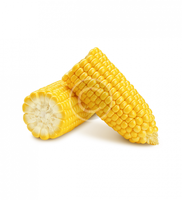 Baby Corn