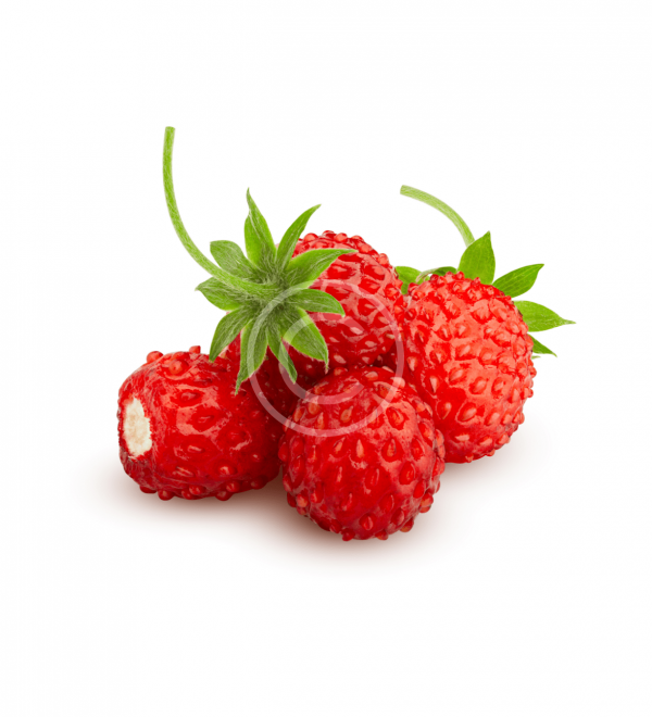 Sweet Raspberry