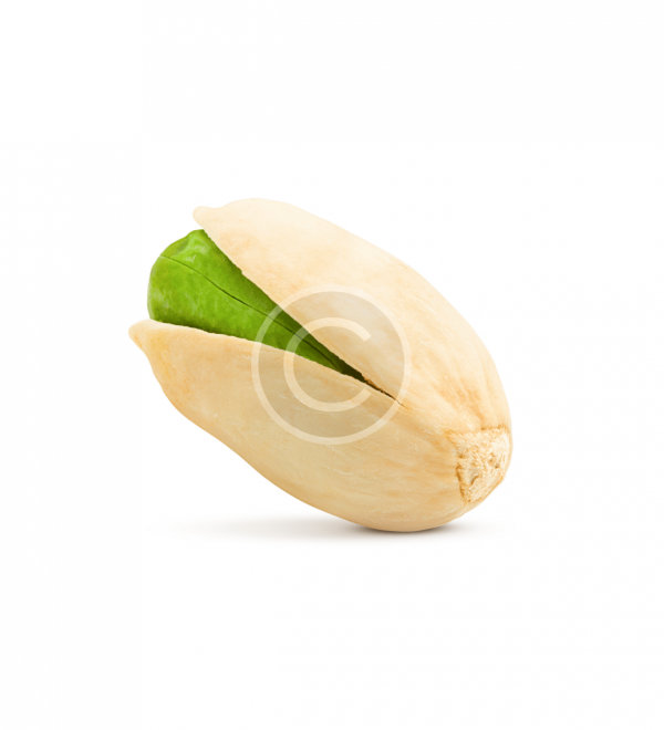 Young Cabbage - immagine 3
