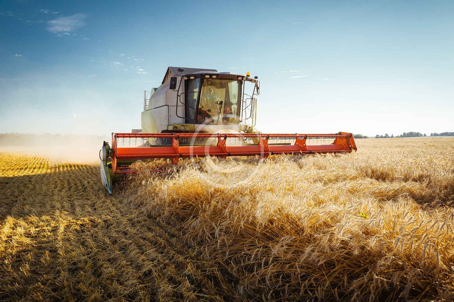 Farm Management
